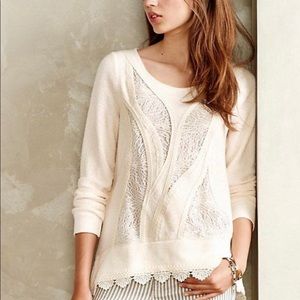 Angel of the North (Anthro) pullover sweater